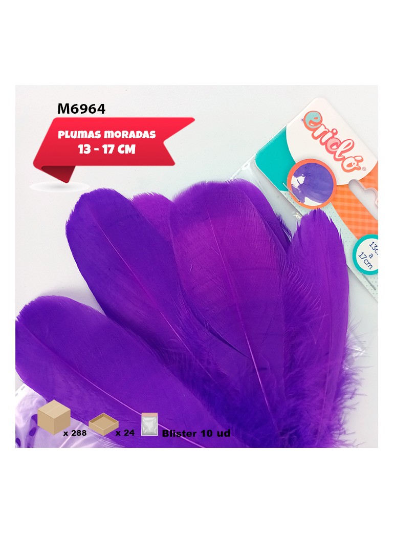 PLUMAS COLOR MORADO 13 -...