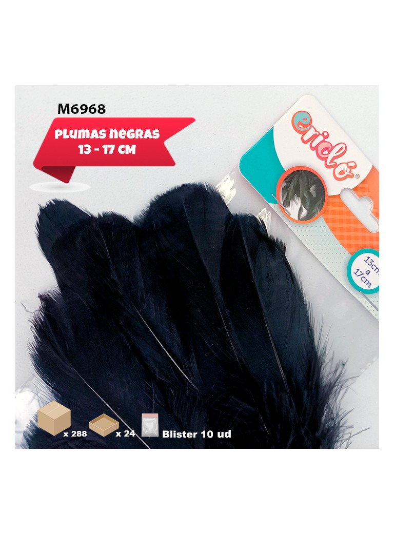 PLUMAS COLOR NEGRO 13 -...