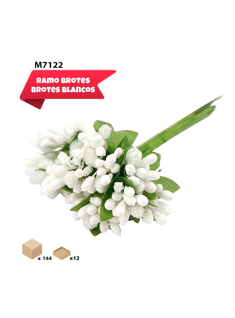 BROTES BLANCOS ARREGLO FLORAL