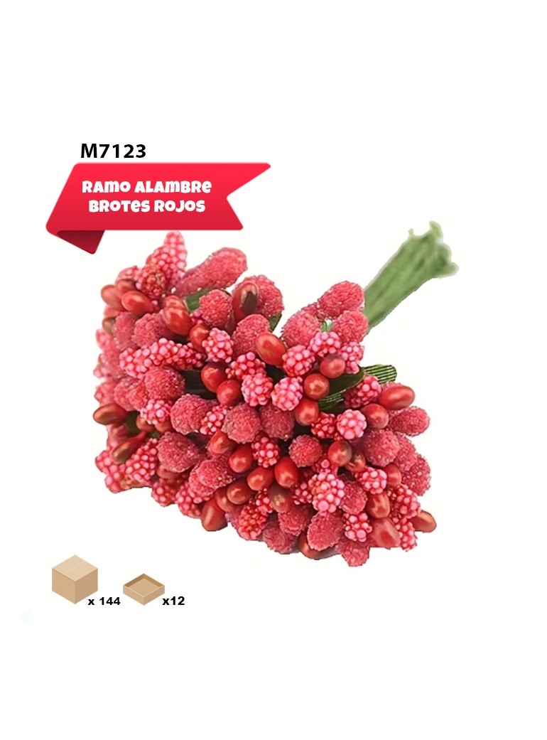 BROTES ROJOS ARREGLO FLORAL
